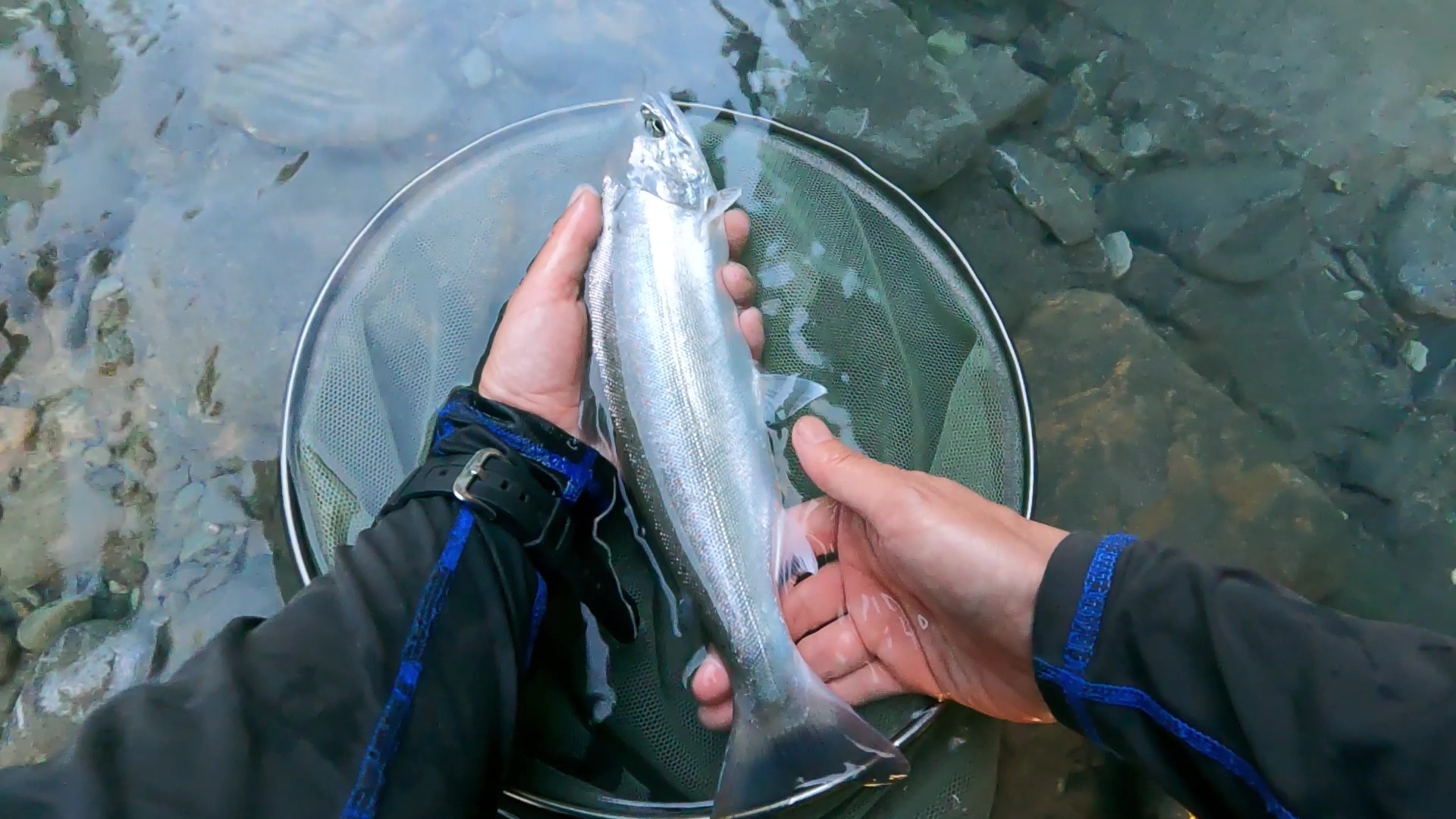 釣果報告2026年05月30日