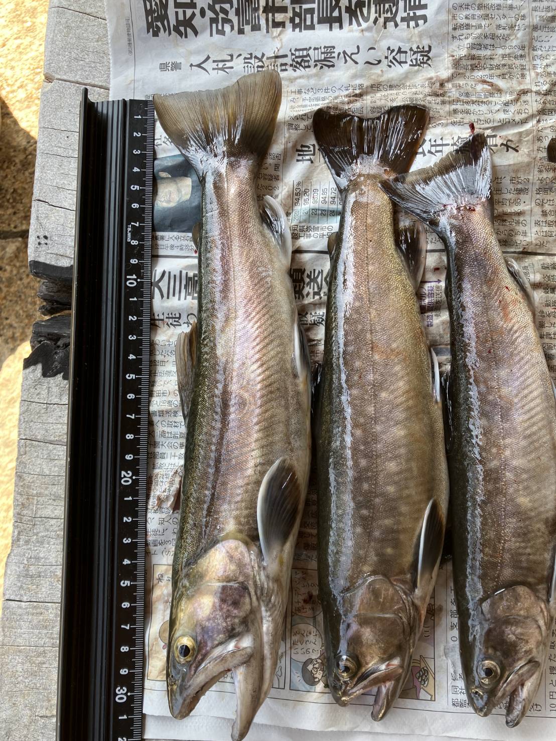 釣果報告2026年02月16日