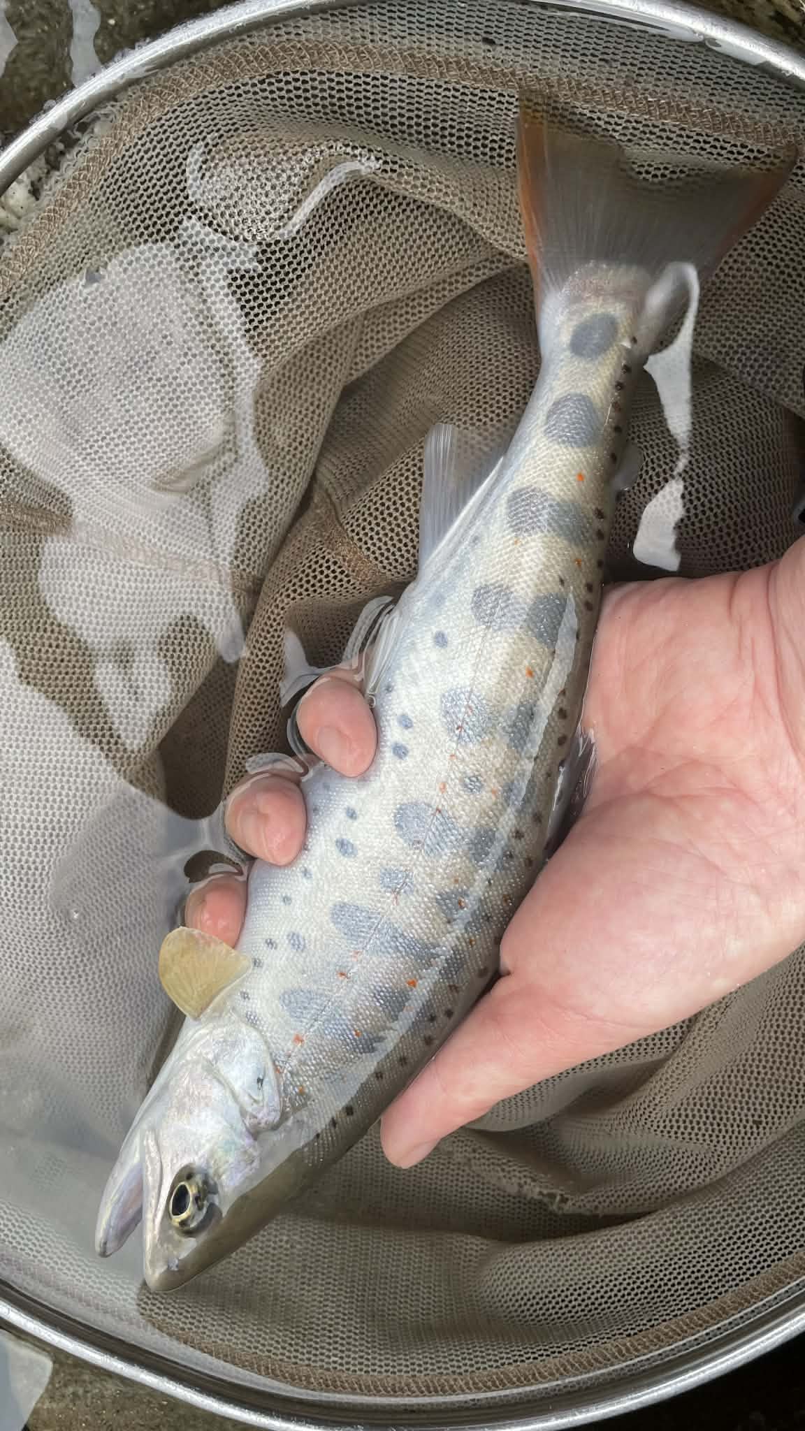 釣果報告2026年04月05日