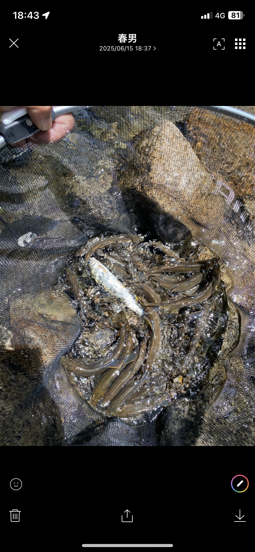 釣果報告2025年06月07日 釣果報告2025年06月07日